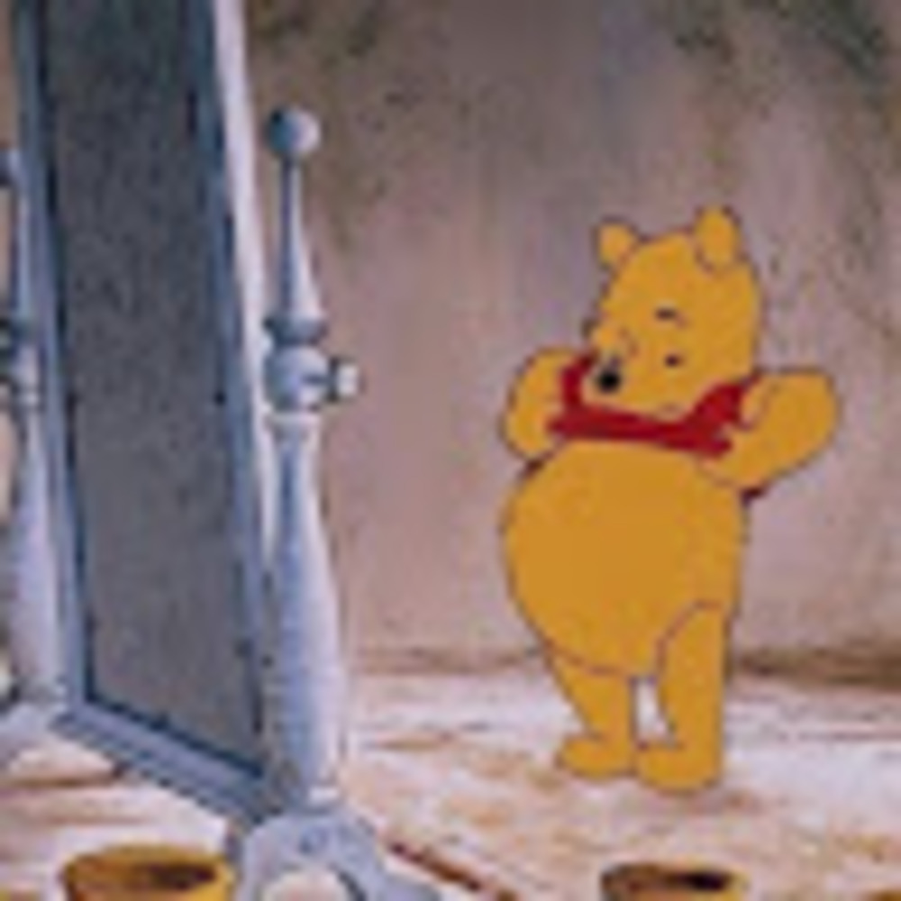 Meet your Posher, Huiting